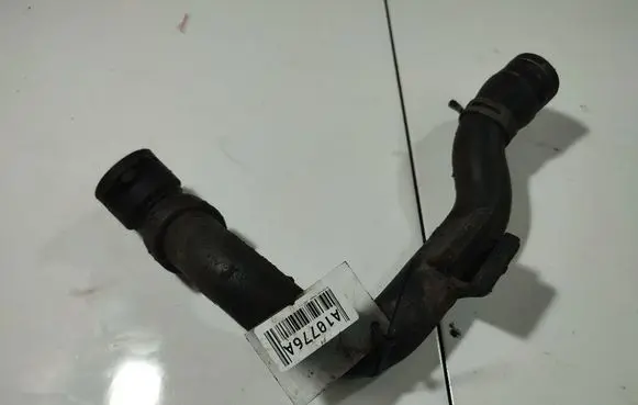 Volkswagen PASSAT B5.5 Engine coolant pipe/hose
