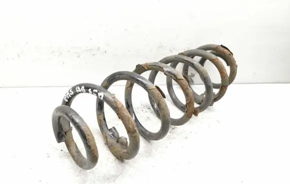 Volkswagen PASSAT B6 Rear coil spring