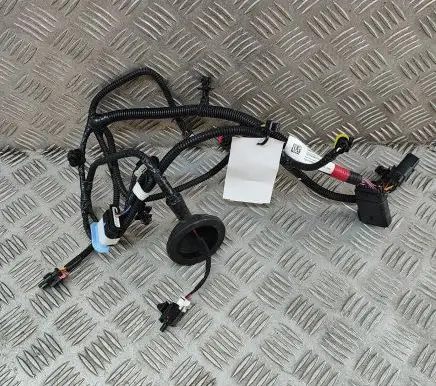 Tesla Model Y Other wiring loom 248905004C