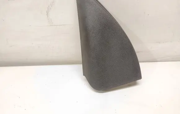 Other rear door trim element