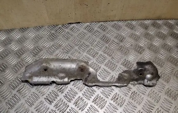 Exhaust heat shield