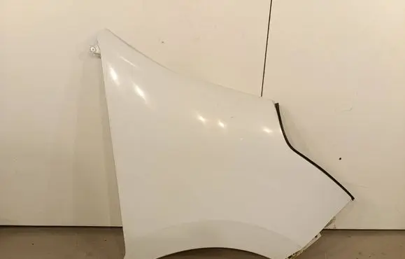 Renault Master III Fender