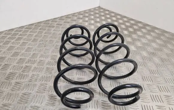 Rear coil spring