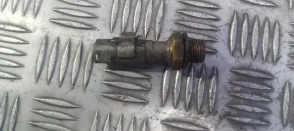 Peugeot 406 Oil level sensor 0104
