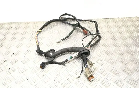 Nissan X-Trail T30 Front door wiring loom 24125EQ300 JEJ7FS50C74 200410