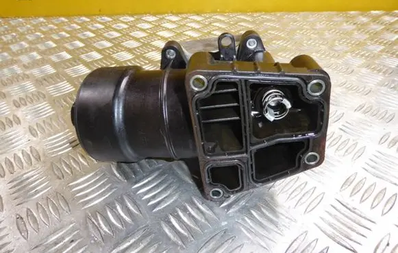 Volkswagen Beetle A5 Oil filter mounting bracket 09G409061E