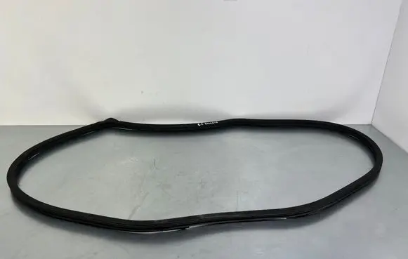 Rear door rubber seal (on body)