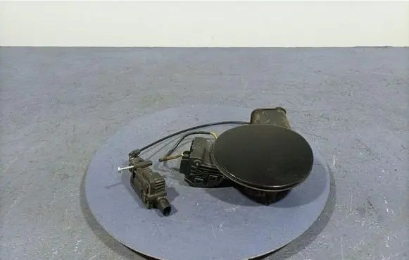 Opel Ampera Fuel tank cap 22924953
