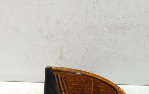 Front fender indicator light