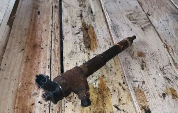 Dacia Duster Fuel injector 0445110485