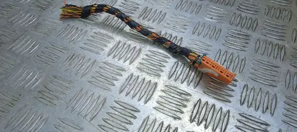 Volvo C70 Other wiring loom