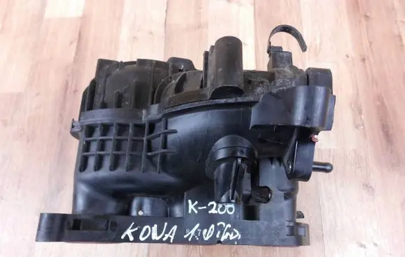 Hyundai Kona I Intake manifold 2830004560 393002G000