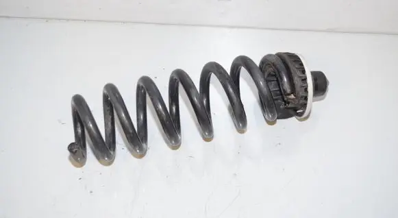 BMW 3 G20 G21 Rear coil spring 6889981 33536889981