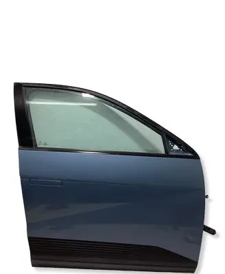 Hyundai Ioniq 5 Front door 