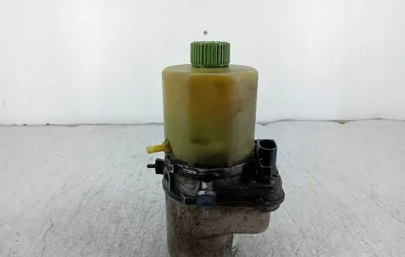 Skoda Praktik (5J8) Power steering pump 6R0423156