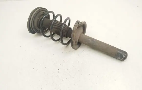 Peugeot 206 Front shock absorber with coil spring