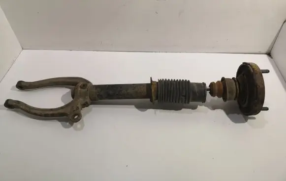 Hyundai Sonata Front shock absorber/damper