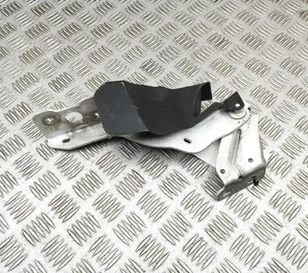 Renault Master III Engine bonnet/hood hinges 654006819R