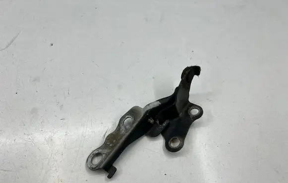 Toyota Hilux (AN10, AN20, AN30) Engine bonnet/hood hinges
