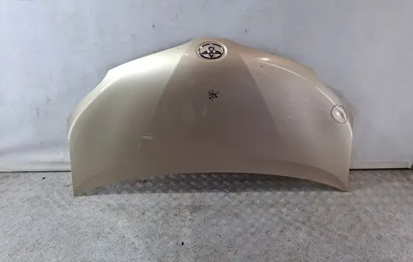 Engine bonnet/hood