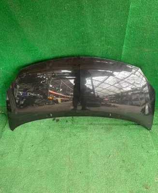 Renault Twingo II Engine bonnet/hood 