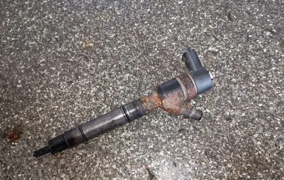 Hyundai Matrix Fuel injector 0445110256