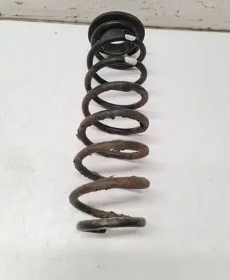Rear coil spring