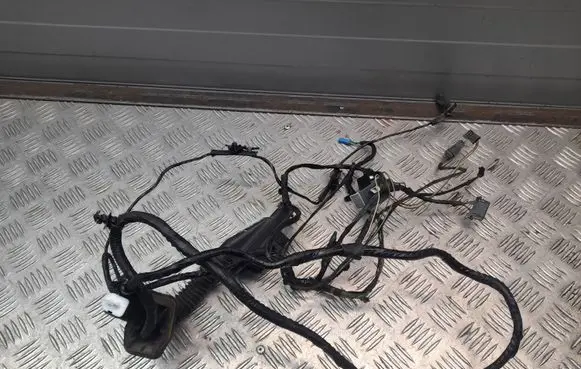 BMW X6 E71 Rear door wiring loom 920786201