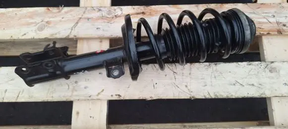 Opel Zafira B Front shock absorber with coil spring AGX089MT