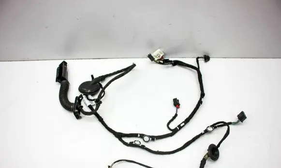 Other wiring loom