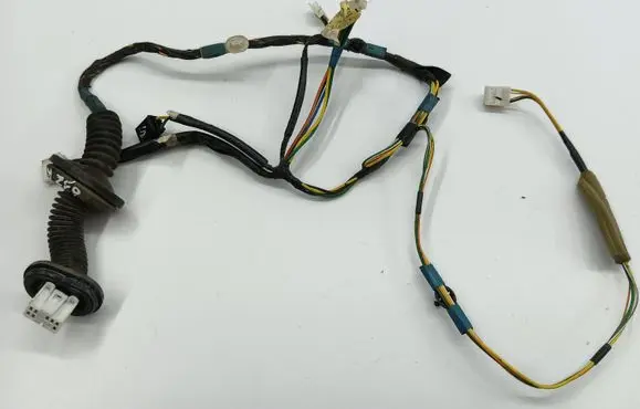 Rear door wiring loom