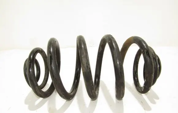 Rear coil spring