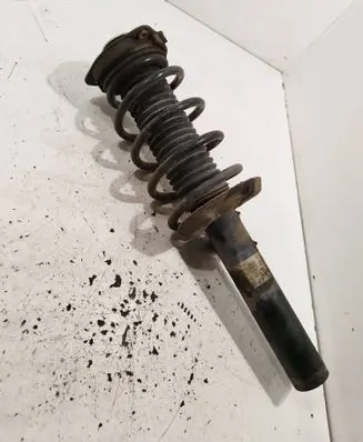 Front shock absorber with coil spring