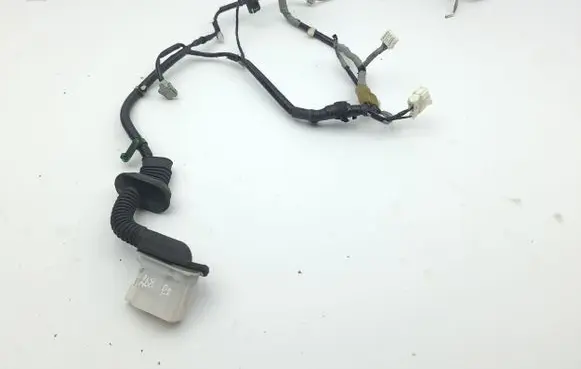 Front door wiring loom