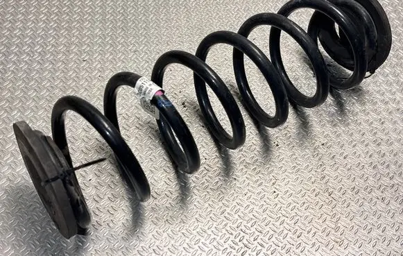 Rear coil spring