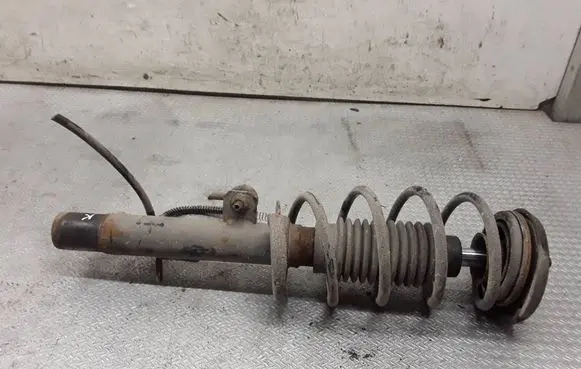 Citroen C2 Front shock absorber with coil spring 