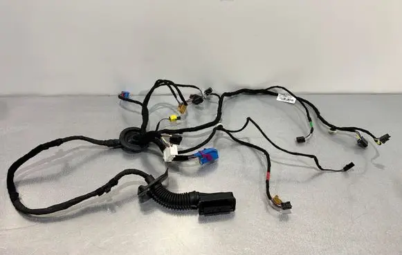 Cupra Formentor Front door wiring loom 5FB971120CE