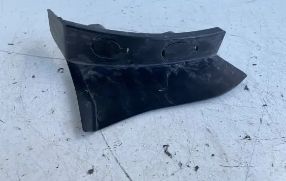 Rear/tail light trim molding