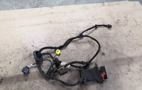 Volkswagen PASSAT B6 Front door wiring loom 3C1971120