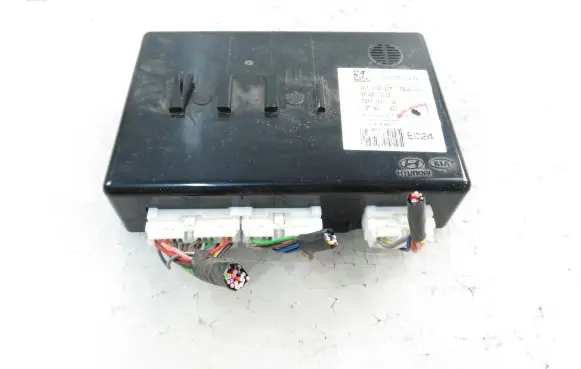 Hyundai i20 (PB PBT) Central body control module 954001J113