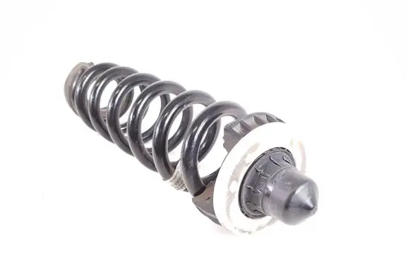 Rear coil spring