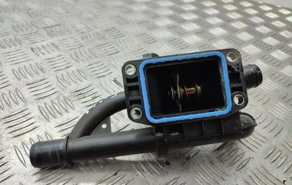 Thermostat/thermostat housing