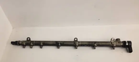 Mercedes-Benz S W220 Fuel main line pipe A6130700195 0445216007