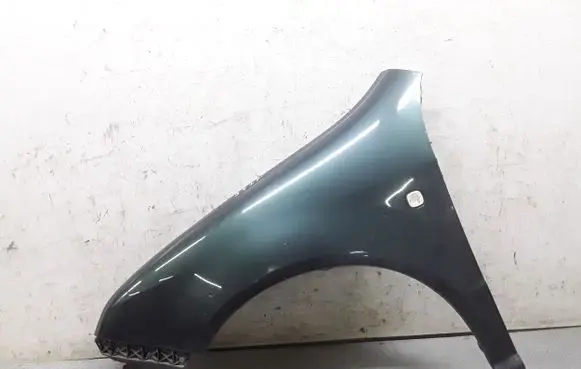 Skoda Fabia Mk1 (6Y) Fender