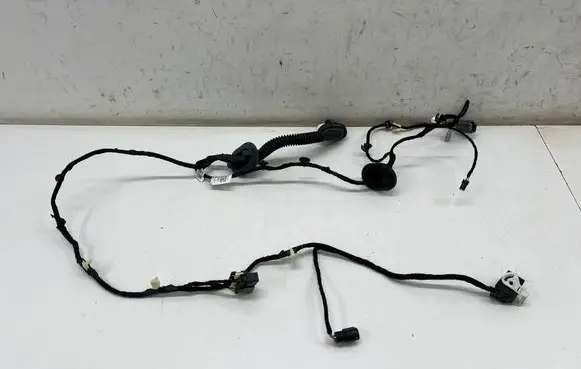 Ford Mustang Mach-E Rear door wiring loom PJ8T14632NBC