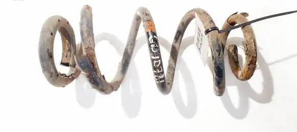 Rear coil spring