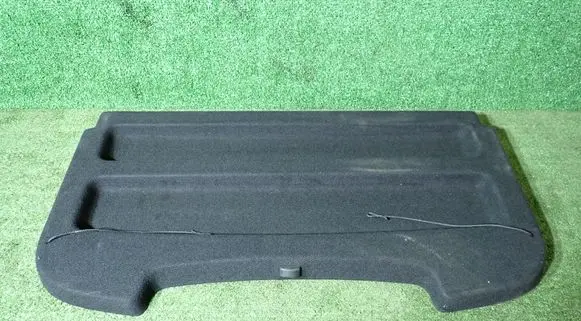 Dacia Sandero III Parcel shelf 794205701R