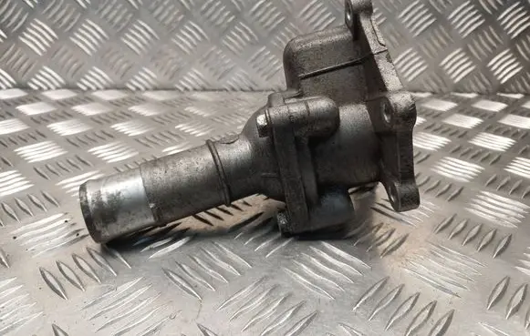Nissan Navara D40 Thermostat/thermostat housing 
