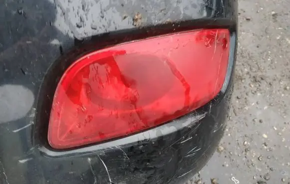 Hyundai Santa Fe Rear fog light 