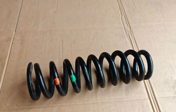 Rear coil spring